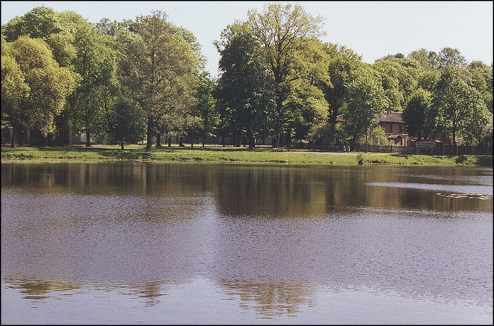a peaceful lake with trees around it
