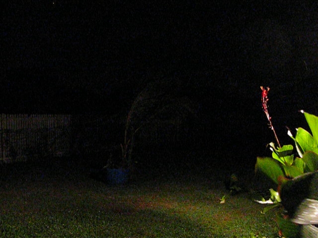a close up s of a person throwing soing in the dark