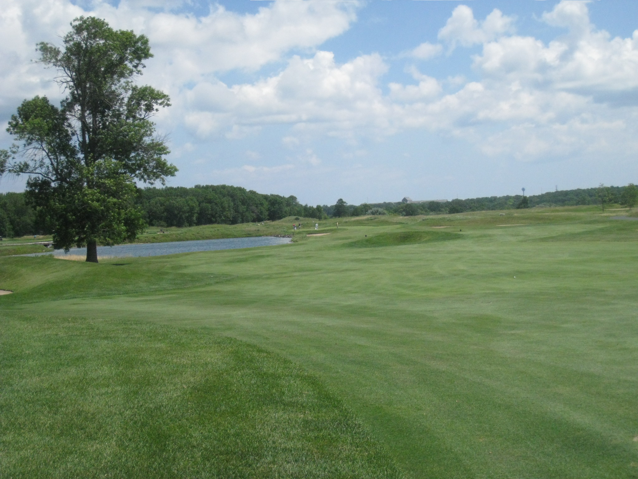 a view of the green on the golf course with a tree and pond