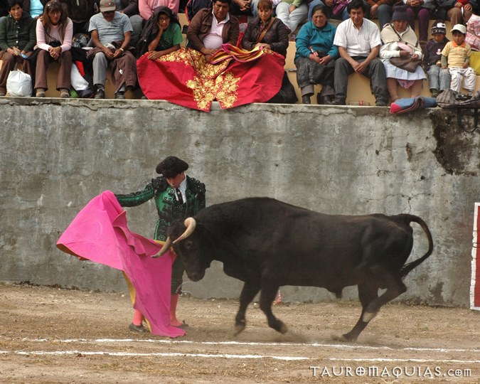 a man standing next to a bull near a crowd