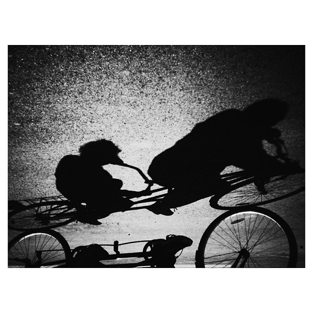 the shadow of a dog riding on a bicycle