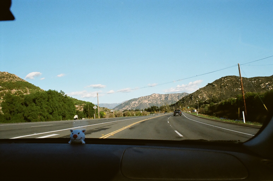 a stuffed animal sitting on the dashboard of a car