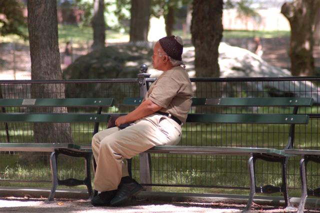 an old man sits on a park bench in the shade