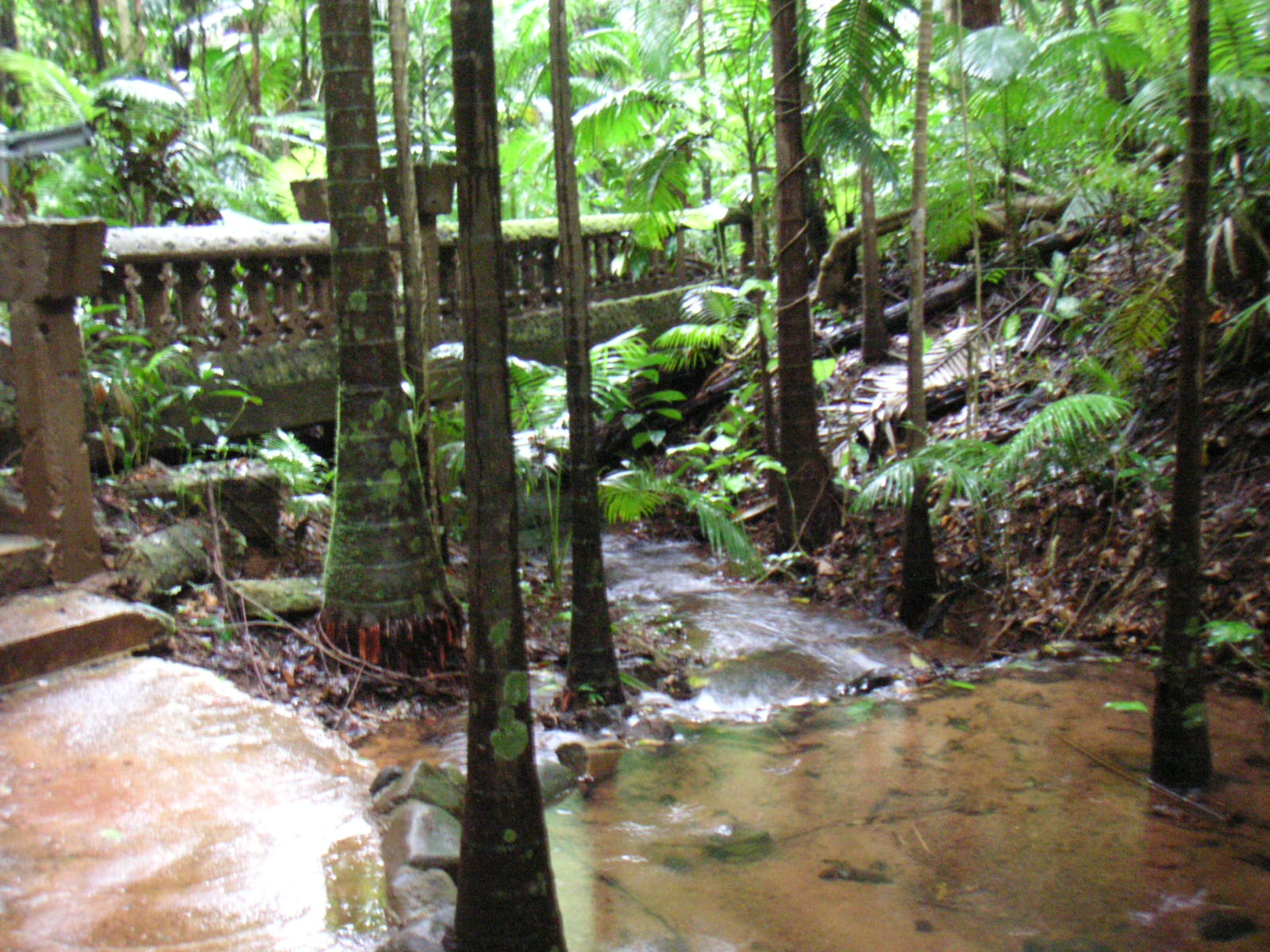 a waterfall surrounded by many trees and a wooden path