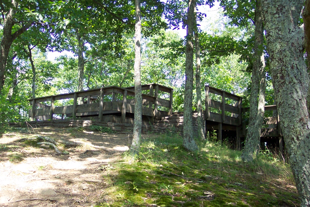 two sets of wooden bridges are near trees in a wooded area