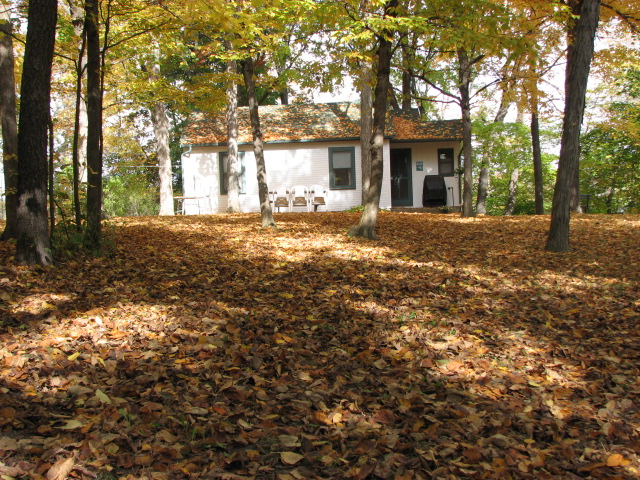 there are leaves in the yard near a house