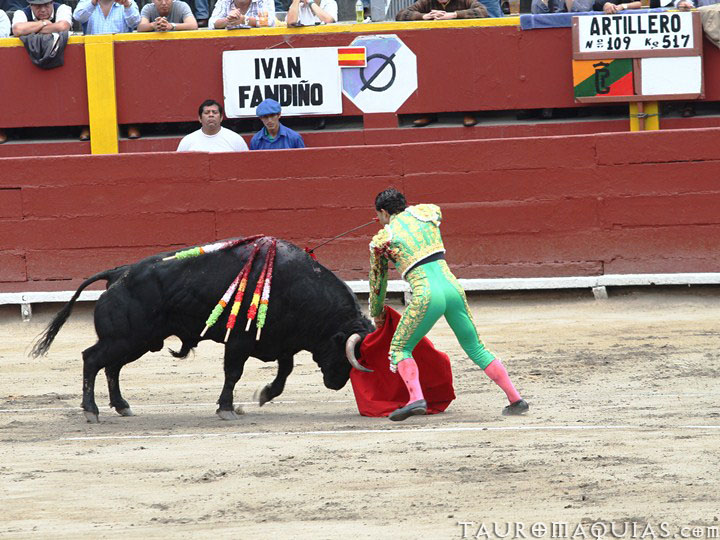 a person is trying to pull a bull while it has people watching