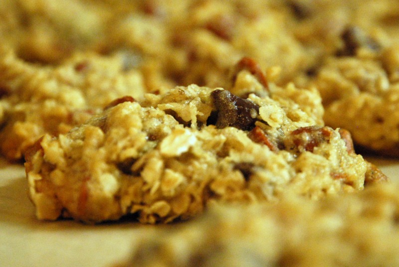 close up of chocolate chip oatmeal cookies