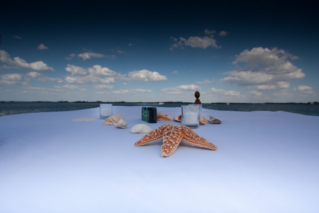 starfish on the beach in front of people standing