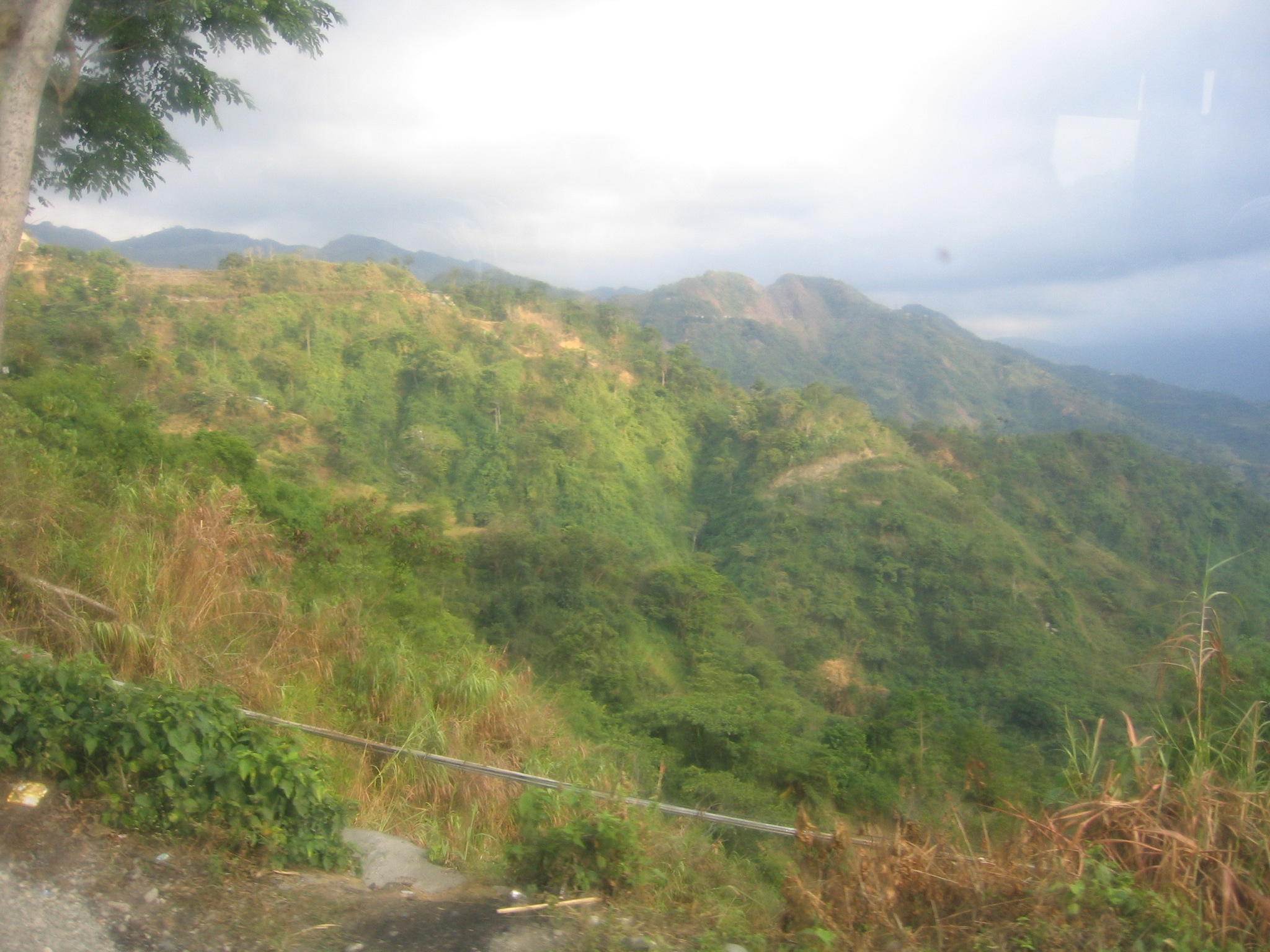 a mountain on the edge of the road with trees and bushes growing at the side