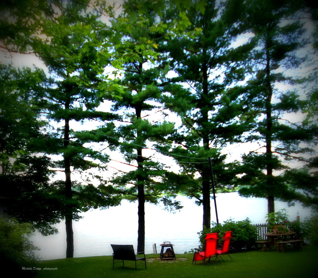 the view of a lake and deck chairs from near a grove of trees