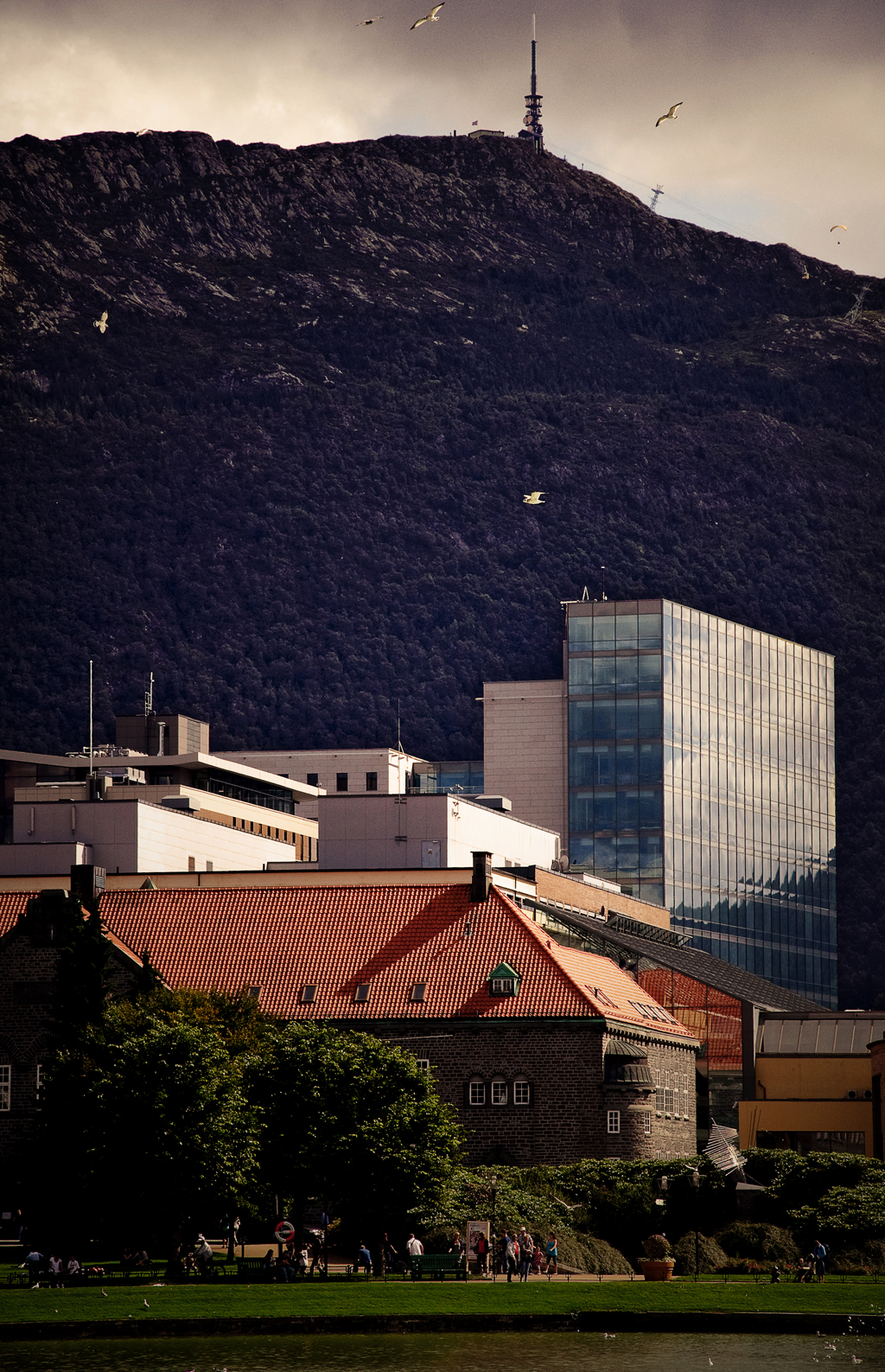 a city view with buildings and mountains in the background