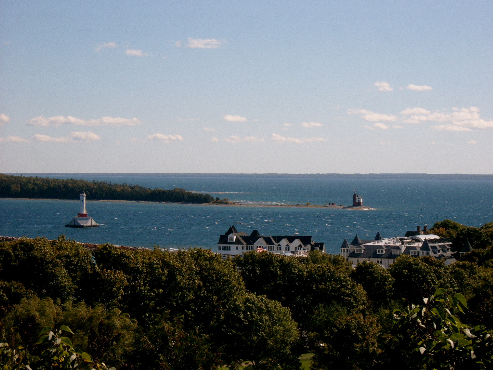 an ocean view with trees surrounding it and a light house in the distance