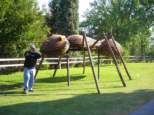 a man taking a picture of a sculpture made of straw