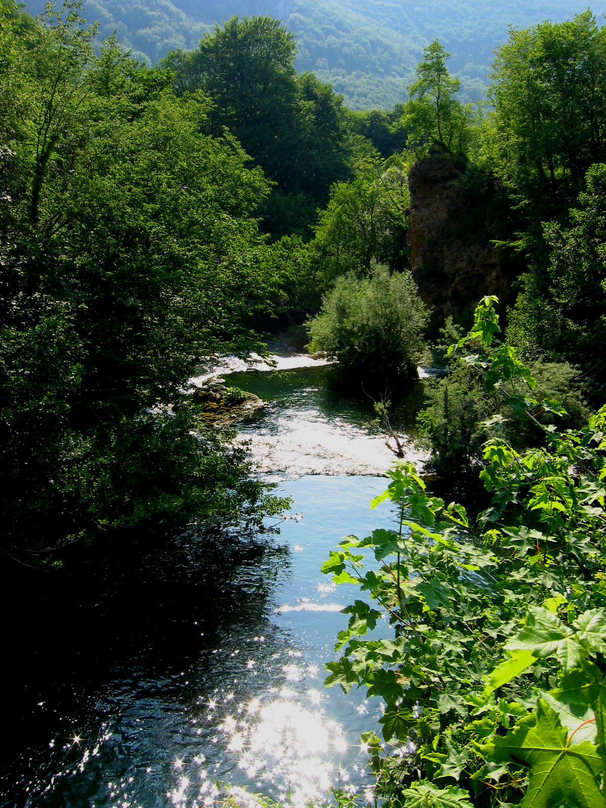 a river is surrounded by green trees and a blue sky