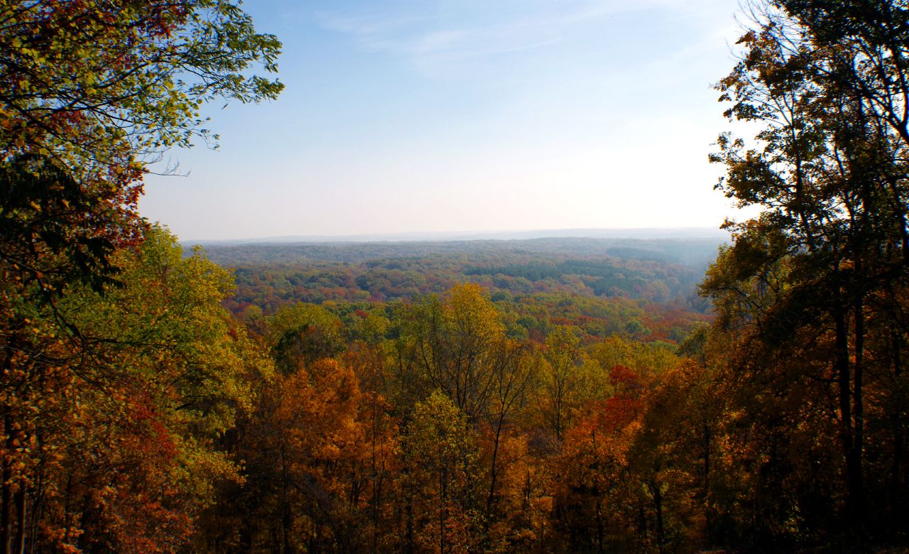 looking over a wooded hillside at a mountaintop with trees