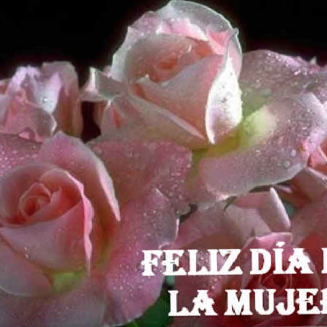 pink roses with text that says, felizi dai e la mujea