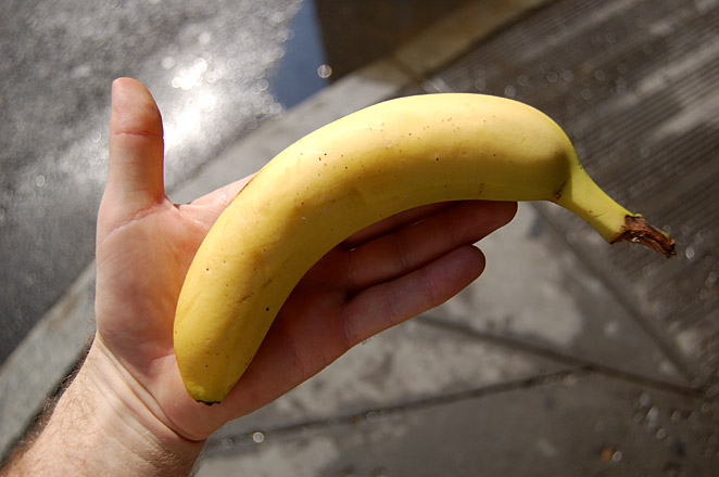 a hand holds a small banana that is yellow