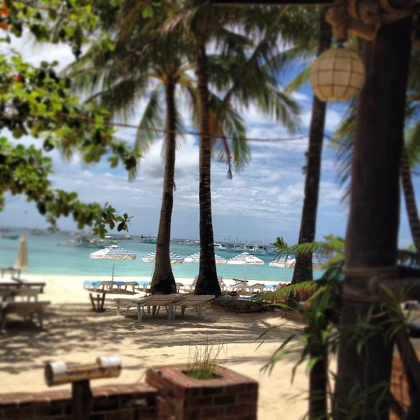 a beach that has palm trees and chairs and a table