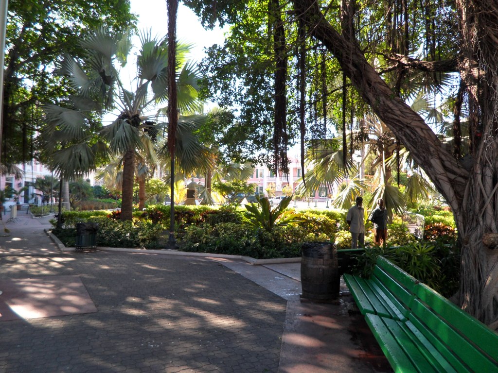 a park bench sitting on a walkway surrounded by trees