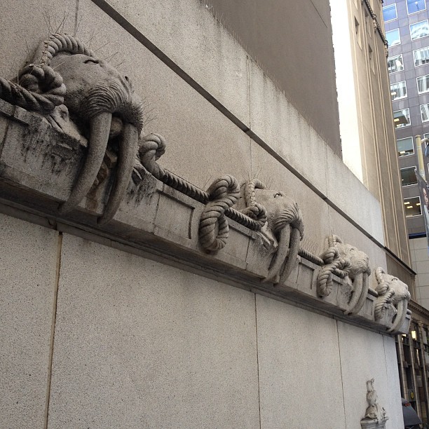 the carvings of animals are lined up on the side of a building