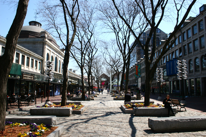 a tree lined sidewalk with benches and buildings in the background