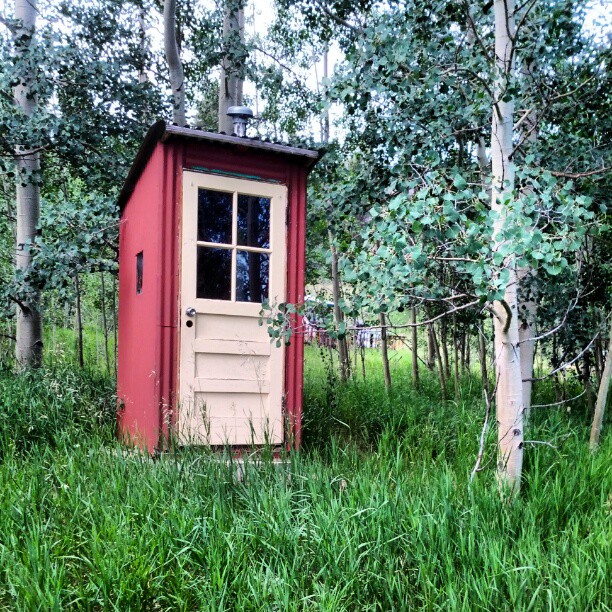 an outhouse is in the middle of tall grass