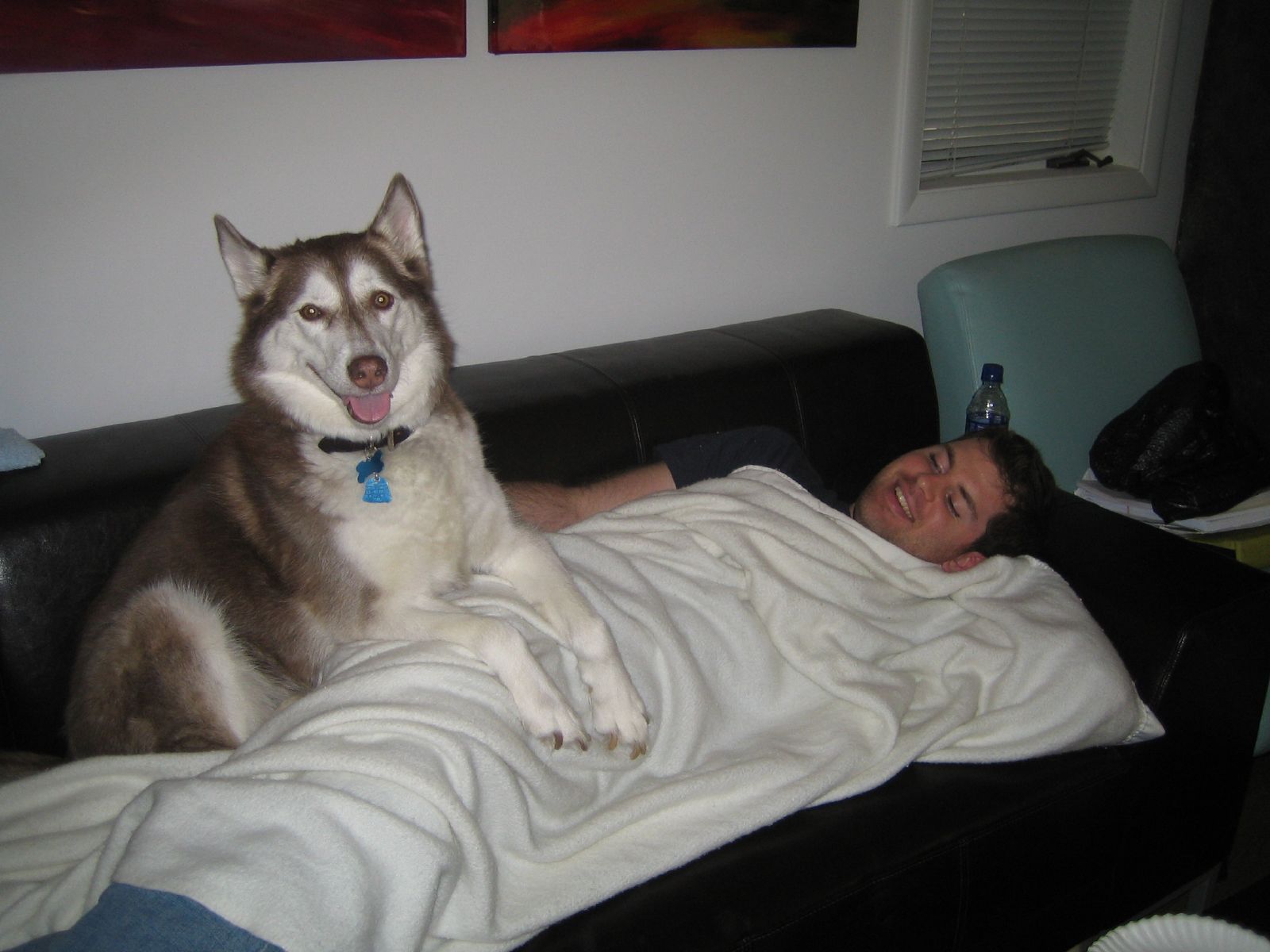 a man is laying on his stomach with a dog