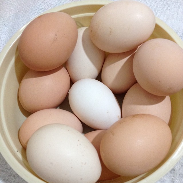 a bowl with eight eggs sitting in it