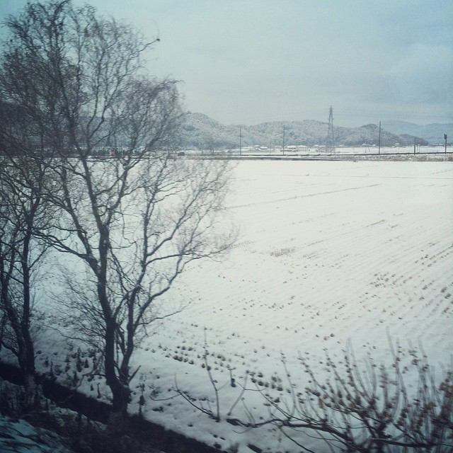 a field in the middle of winter covered with snow