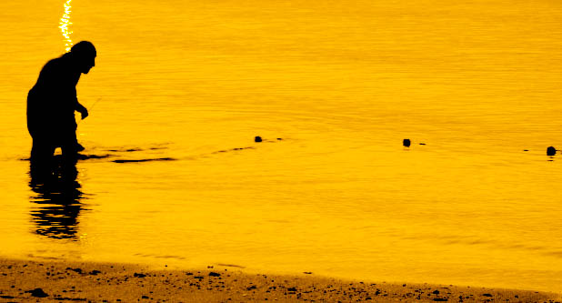 a person stands in shallow water and casts a shadow over the shoreline as ducks follow them