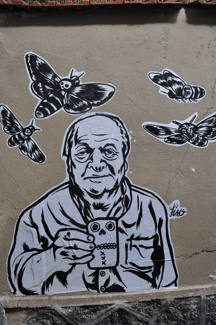 a mural on the side of a building of a man with various birds in flight over his face