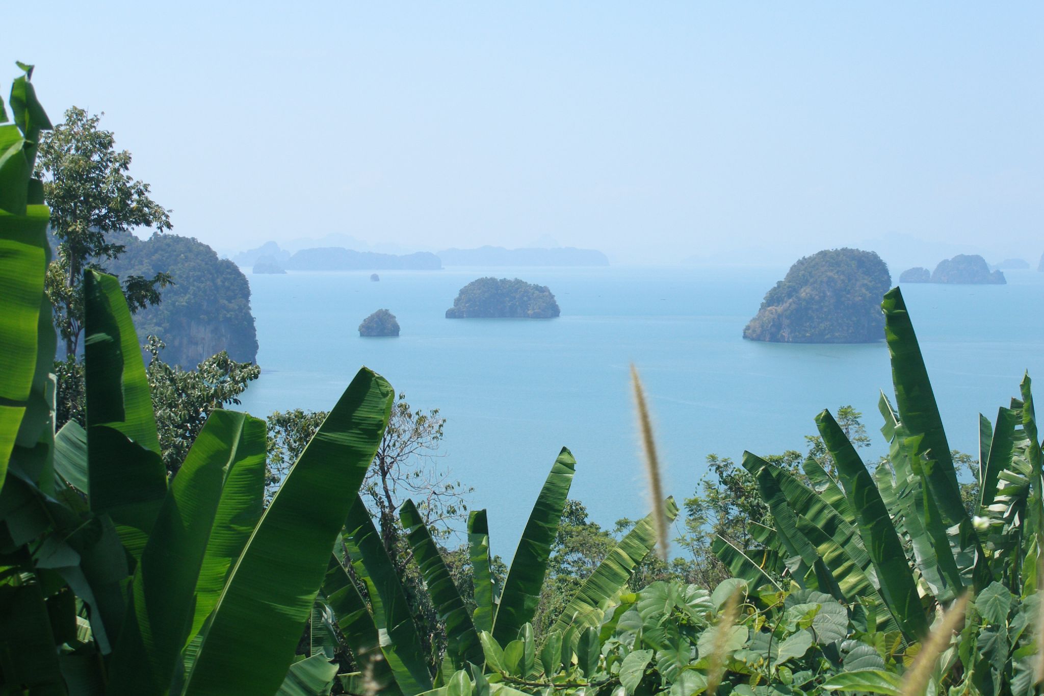 tropical vegetation growing on top of a rocky island with some water in the distance