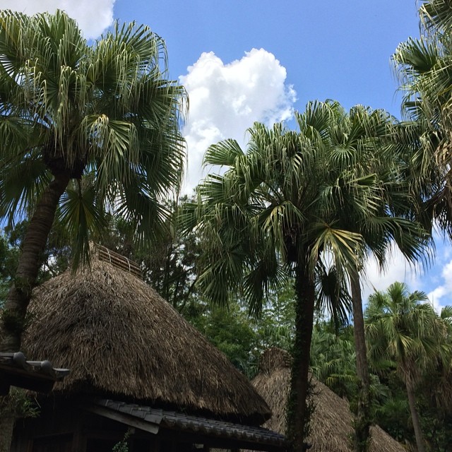 thatched roof huts and palm trees against a cloudy blue sky