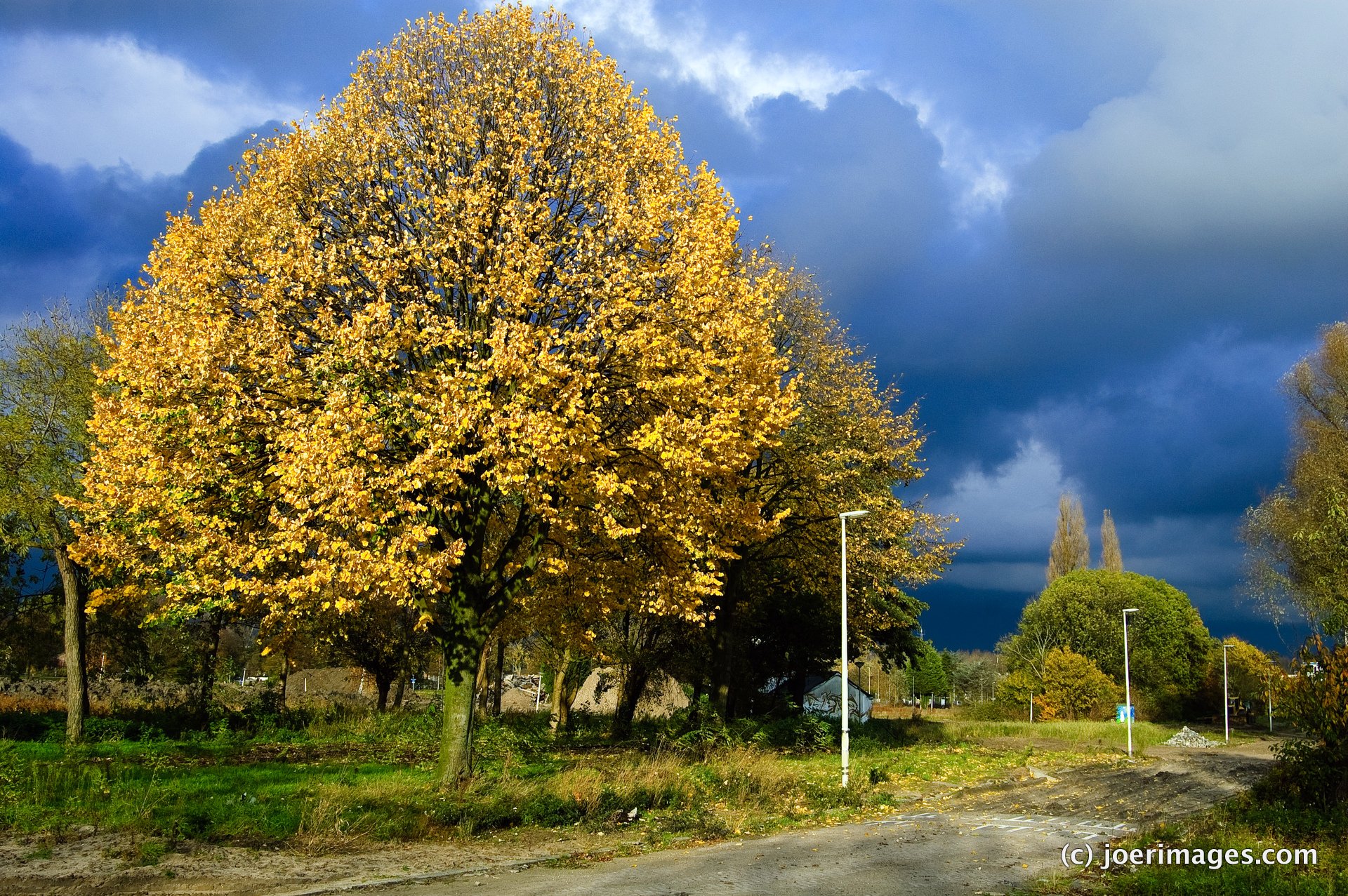 two trees stand on the corner and a dark cloud looms overhead