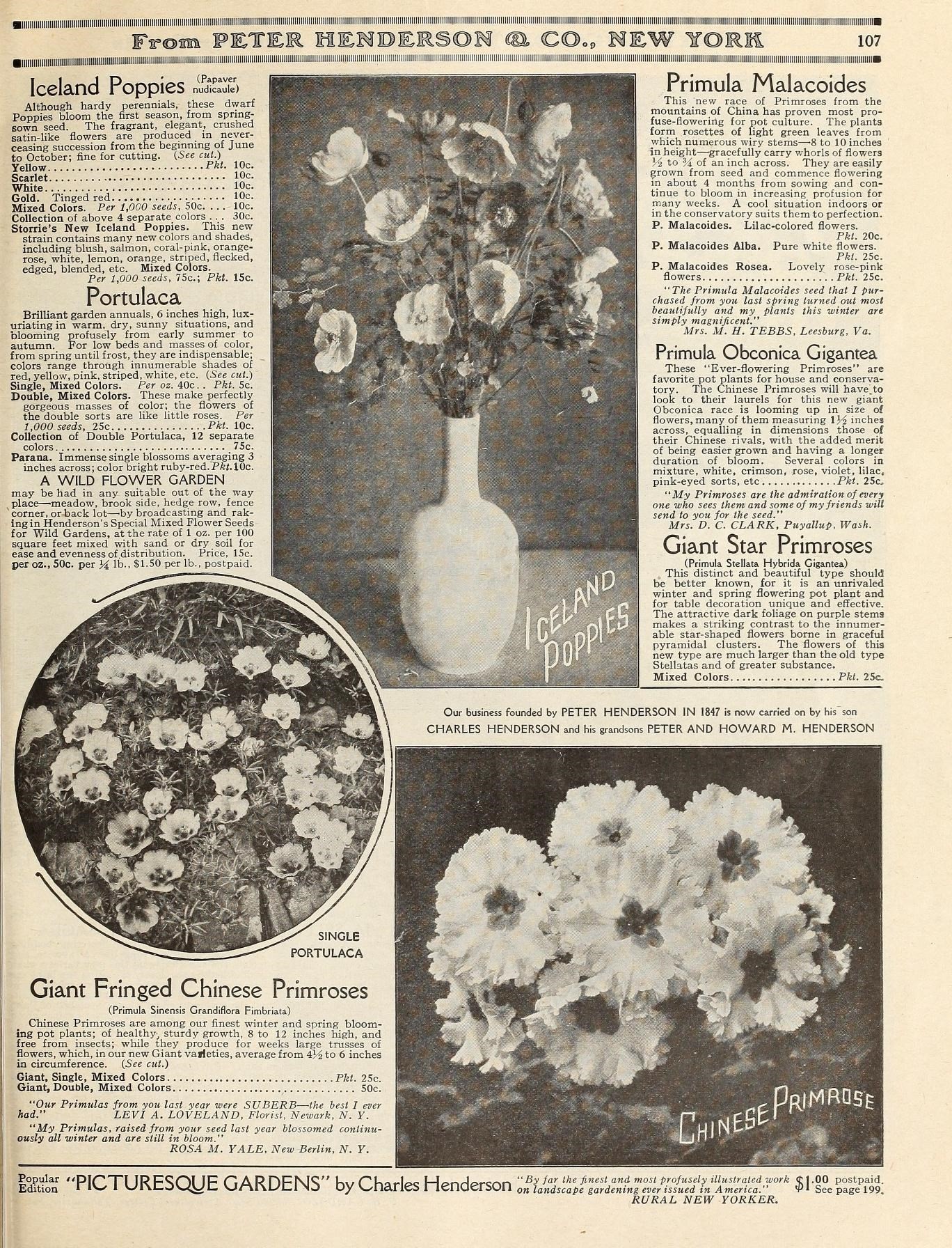 an old newspaper advertit showing flowers in vase