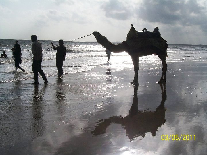 people walking on the beach, and camel carrying two men on its back