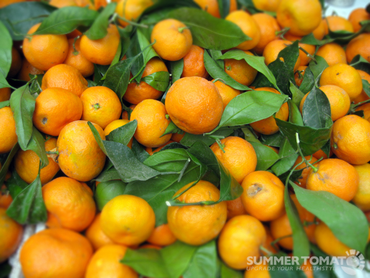 a bowl of oranges with leaves on them