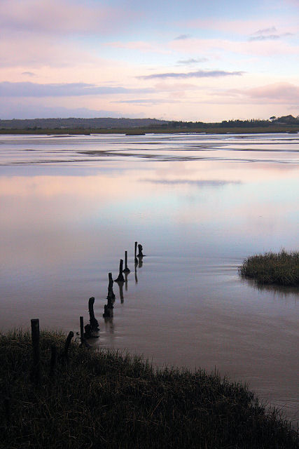 a line of posts in the water by some grass