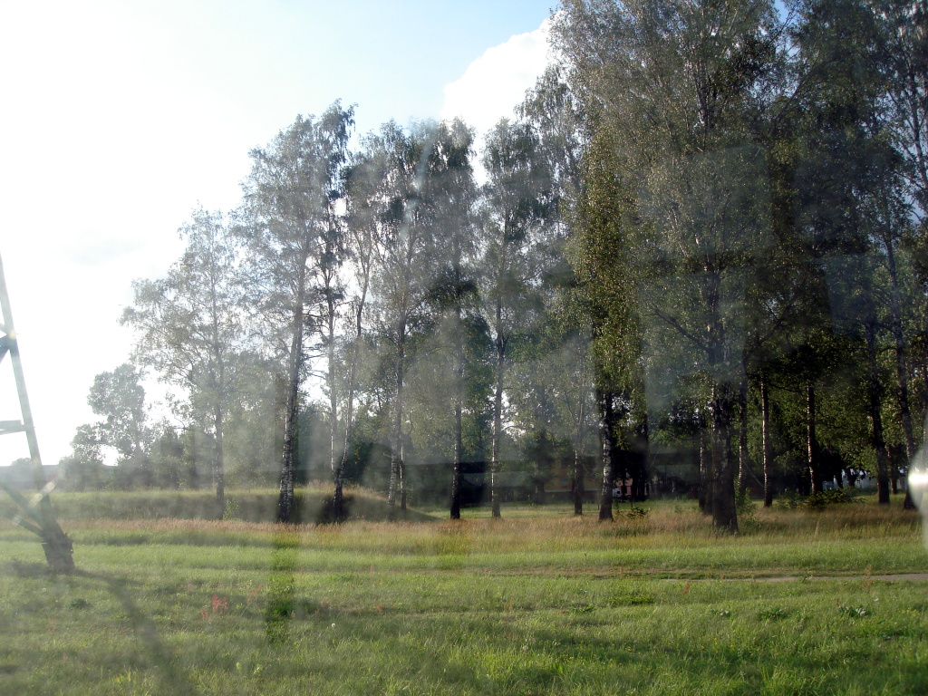 a po of a field, through a window