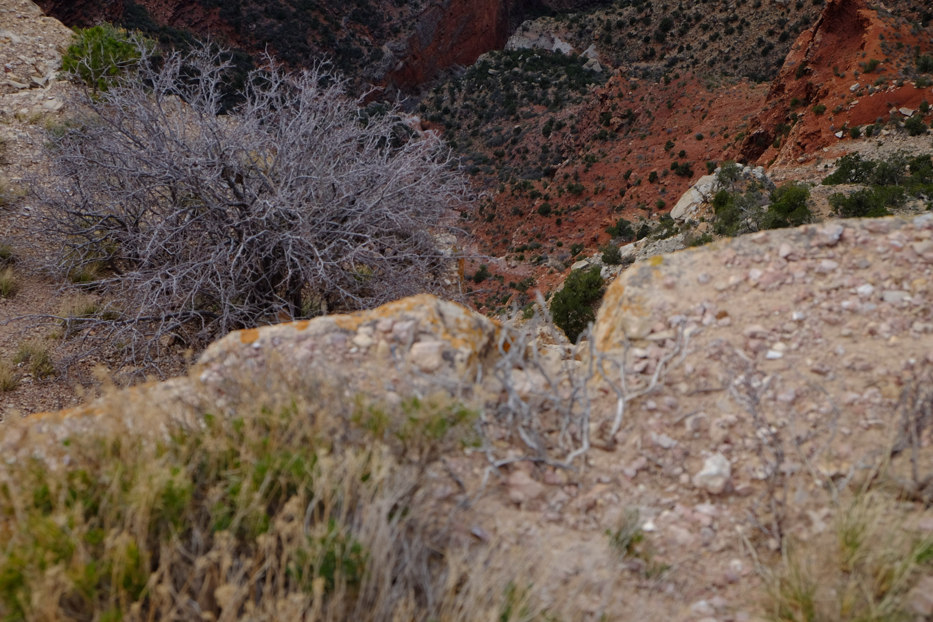 two zes are standing on a rocky ledge in the distance