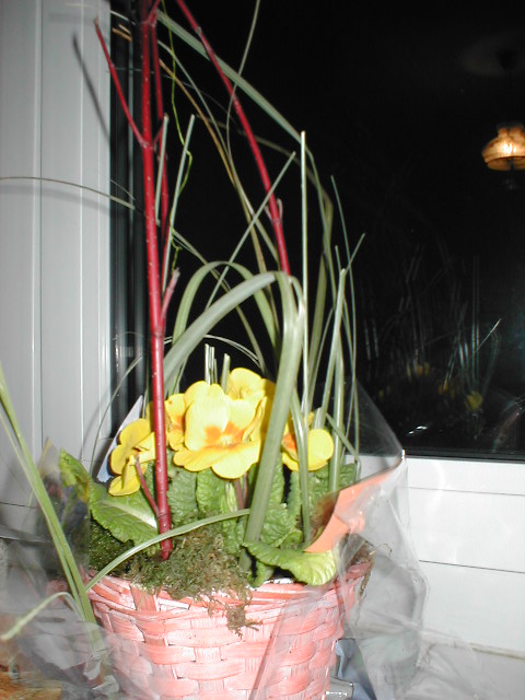 a large pot with yellow flowers in the corner