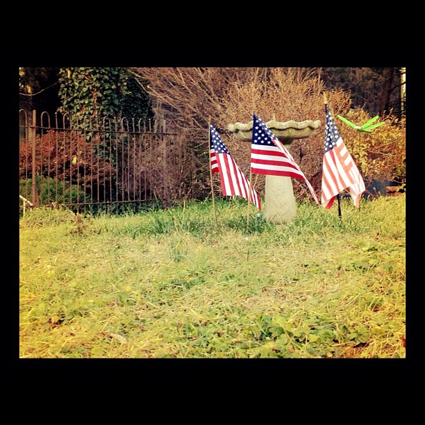 some small flags sticking out of the ground