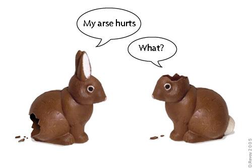 a rabbit and a bunny bunny is saying why are rabbits?