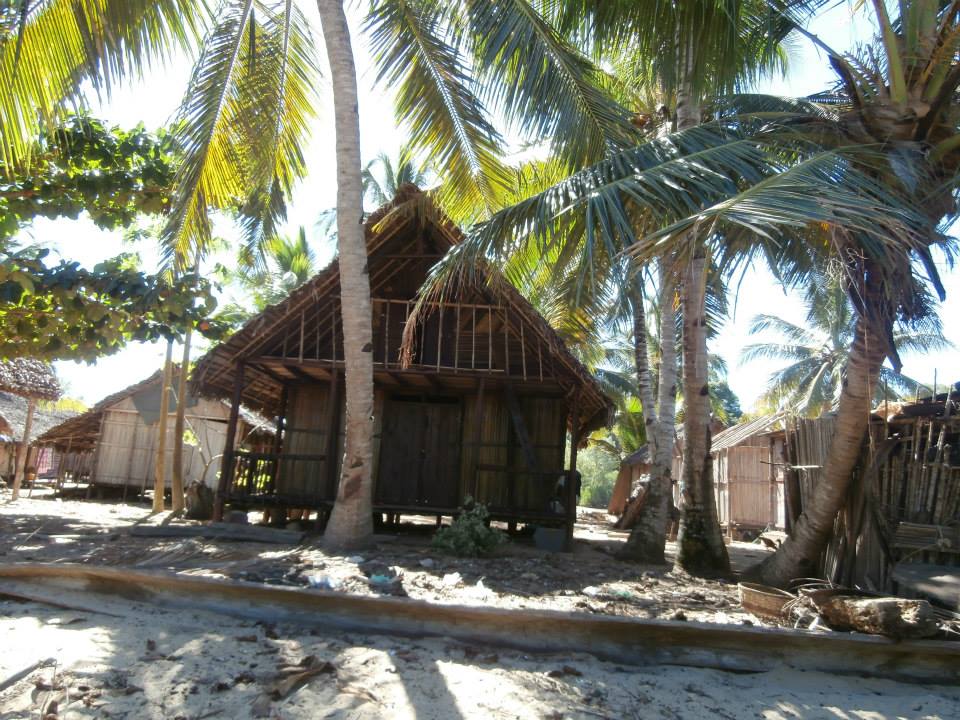 some huts are on the beach under palm trees