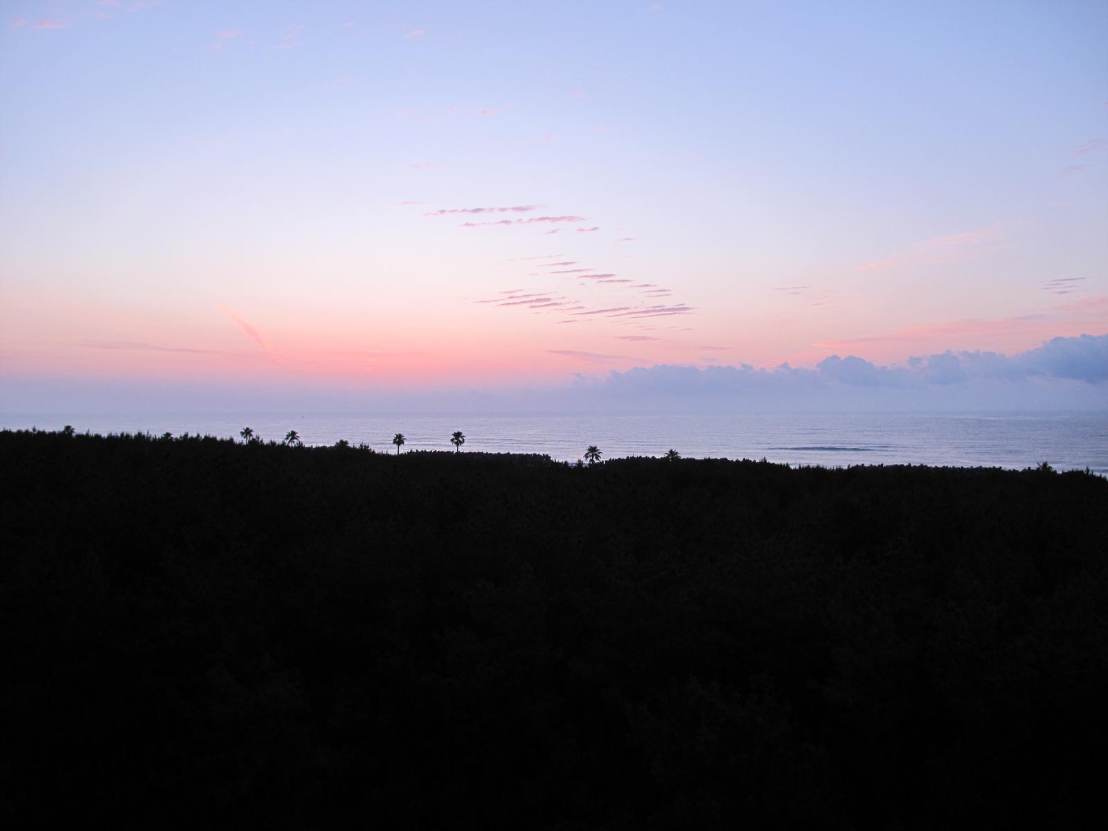 some animals standing on a grass field with the sunset in the background