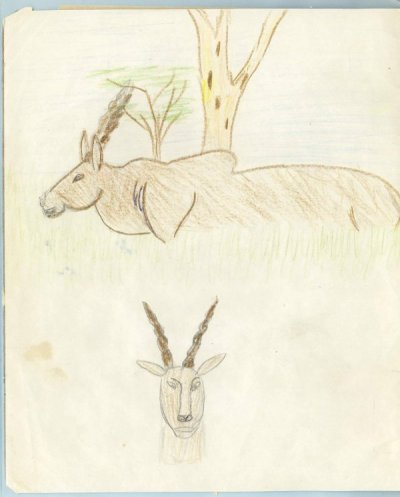 a drawing of two goats standing in the grass