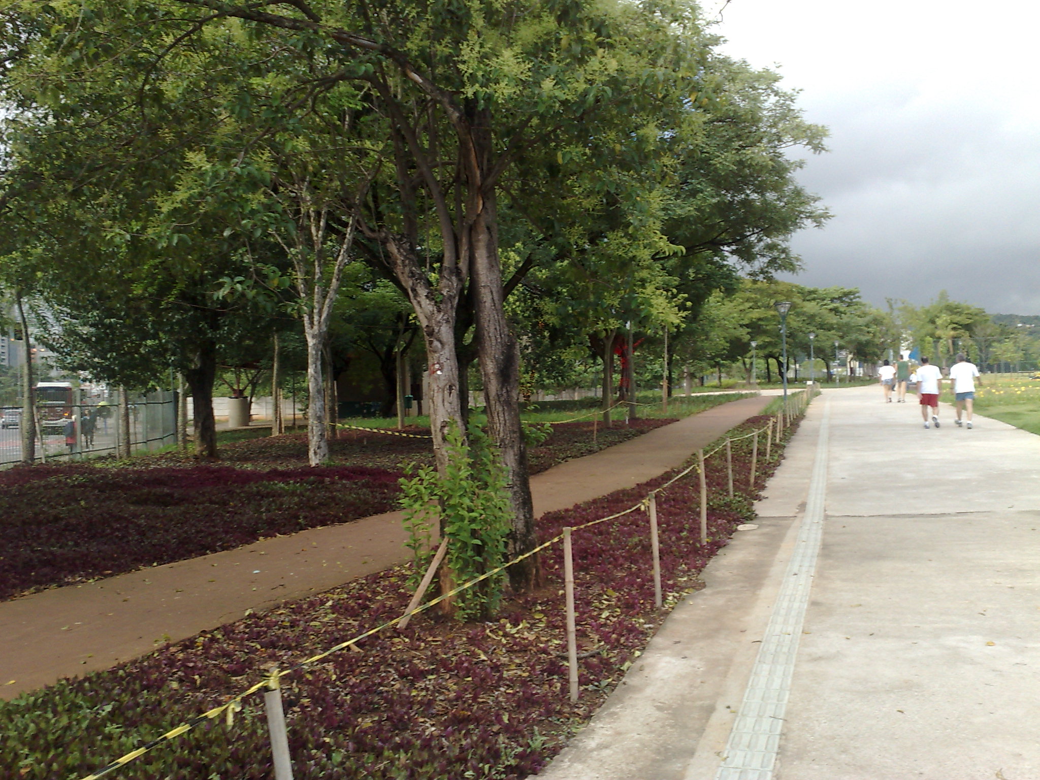 a park has several walkways and trees lining the sidewalk