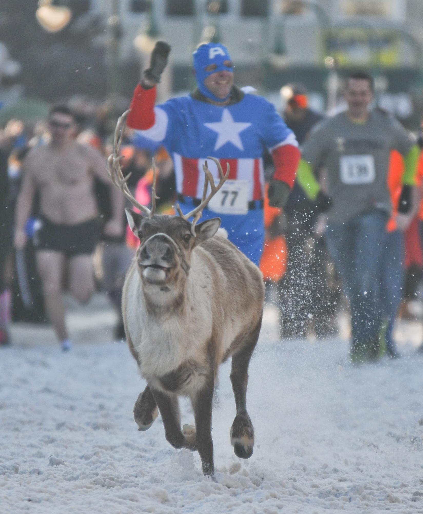 a reindeer running on snow in front of people