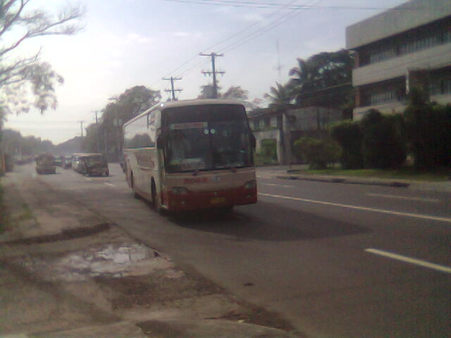 a city bus riding through the road in the daytime